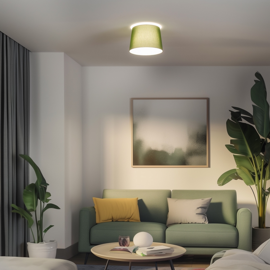 Brilagi - LED paviršinis lubinis šviestuvas CERIA 1xE27/40W/230V skersmuo 30 cm žalias