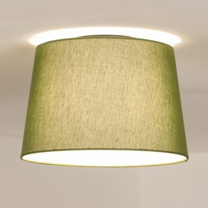 Brilagi - LED paviršinis lubinis šviestuvas CERIA 1xE27/40W/230V skersmuo 30 cm žalias
