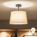Brilagi - LED paviršinis lubinis šviestuvas CERIA 1xE27/60W/230V skersmuo 30 cm juoda/smėlinė