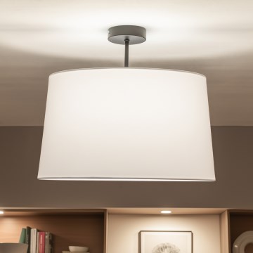 Brilagi - LED paviršinis lubinis šviestuvas CERIA 1xE27/60W/230V Ø 45 cm juoda/balta