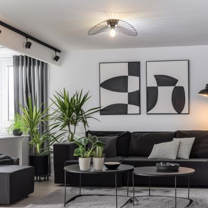 Brilagi - LED paviršinis lubinis šviestuvas CERIA WIRE 1xE27/40W/230V 40x56 cm juodas