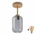 BRILAGI - LED paviršinis lubinis šviestuvas RETRO GLASS 1xE27/60W/230V skersmuo 14 cm smėlinė/dūminė pilka