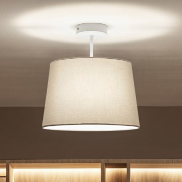 Brilagi - LED paviršinis lubų šviestuvas CERIA 1xE27/60W/230V skersmuo 30 cm balta/pilka