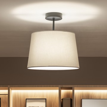 Brilagi - LED paviršinis lubų šviestuvas CERIA 1xE27/60W/230V, skersmuo 30 cm, juoda/pilka