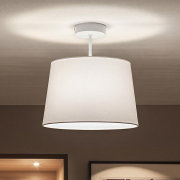 Brilagi - LED paviršinis lubų šviestuvas CERIA 1xE27/60W/230V Ø 30 cm balta