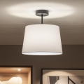 Brilagi - LED paviršinis lubų šviestuvas CERIA 1xE27/60W/230V Ø 30 cm juoda/balta