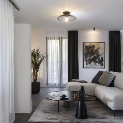 Brilagi - LED paviršinis lubų šviestuvas CERIA WIRE 1xE27/40W/230V Ø 26 cm juodas