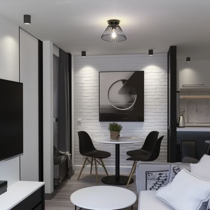 Brilagi - LED paviršinis šviestuvas CERIA WIRE 1xE27/40W/230V skersmuo 30 cm juodas