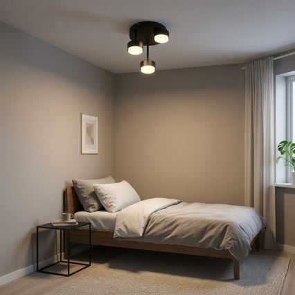 BRILAGI - LED paviršinis šviestuvas MONO 3xGX53/30W/230V juodas