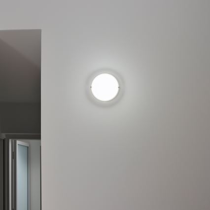 Brilagi - LED pramoninis lubinis šviestuvas SIMA LED/12W/230V IP65 baltas