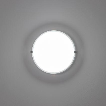 Brilagi - LED pramoninis lubinis šviestuvas SIMA LED/12W/230V IP65 baltas