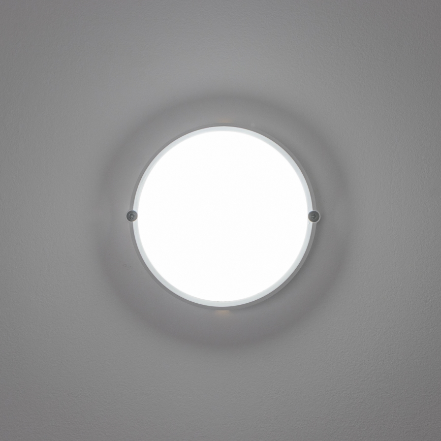 Brilagi - LED pramoninis lubinis šviestuvas SIMA LED/12W/230V IP65 baltas