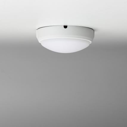 Brilagi - LED pramoninis lubinis šviestuvas SIMA LED/12W/230V IP65 baltas