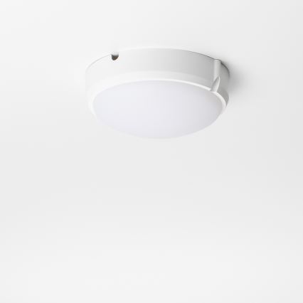 Brilagi - LED pramoninis lubinis šviestuvas SIMA LED/12W/230V IP65 baltas