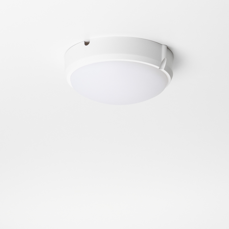 Brilagi - LED pramoninis lubinis šviestuvas SIMA LED/12W/230V IP65 baltas