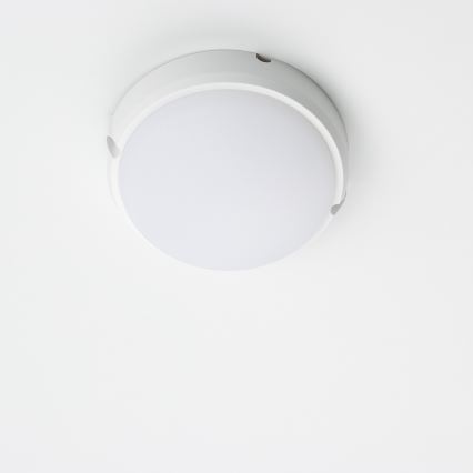 Brilagi - LED pramoninis lubinis šviestuvas SIMA LED/12W/230V IP65 baltas