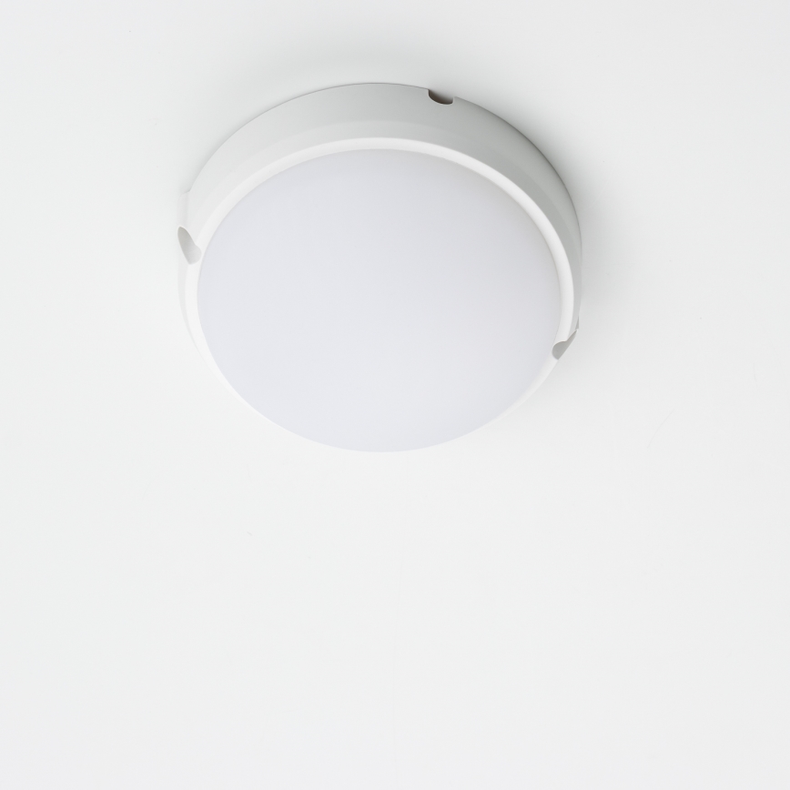 Brilagi - LED pramoninis lubinis šviestuvas SIMA LED/12W/230V IP65 baltas