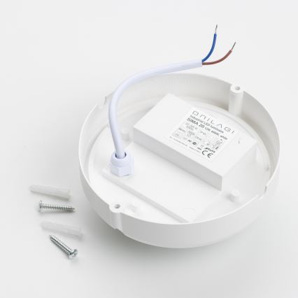 Brilagi - LED pramoninis lubinis šviestuvas SIMA LED/12W/230V IP65 baltas