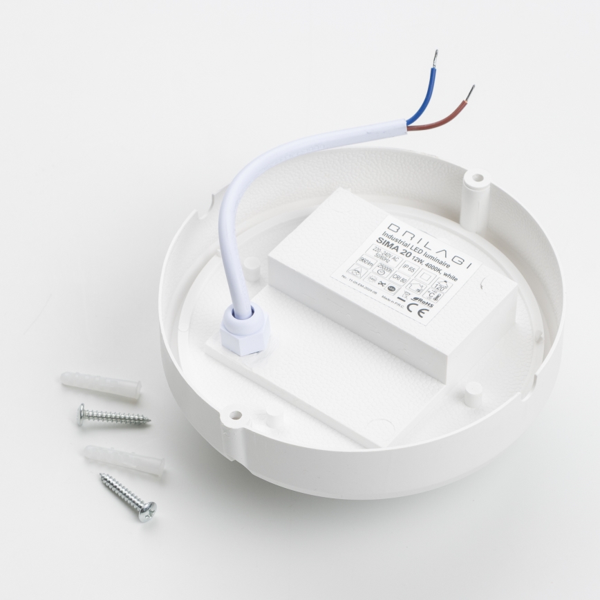 Brilagi - LED pramoninis lubinis šviestuvas SIMA LED/12W/230V IP65 baltas