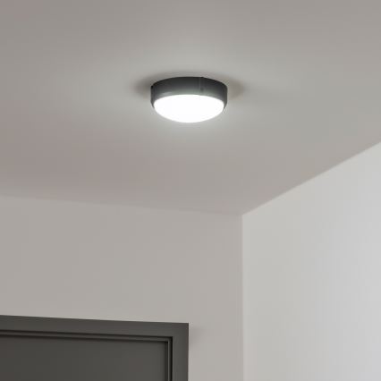 Brilagi - LED pramoninis lubinis šviestuvas SIMA LED/12W/230V IP65 juodas