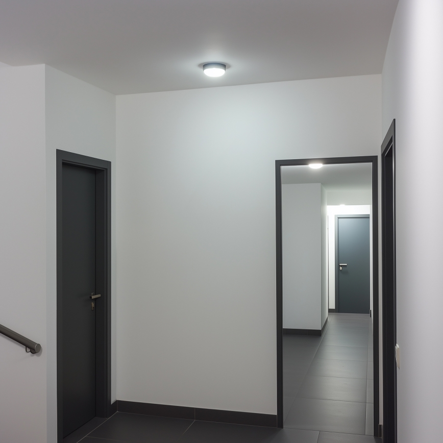Brilagi - LED pramoninis lubinis šviestuvas SIMA LED/12W/230V IP65 juodas