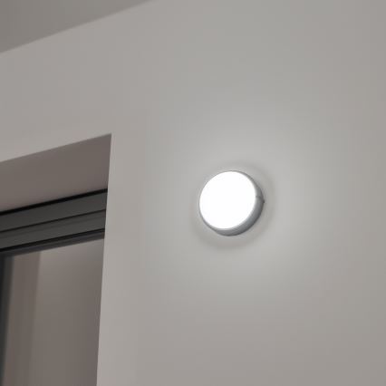 Brilagi - LED pramoninis lubinis šviestuvas SIMA LED/12W/230V IP65 juodas