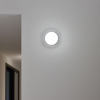 Brilagi - LED pramoninis lubinis šviestuvas SIMA LED/12W/230V IP65 juodas