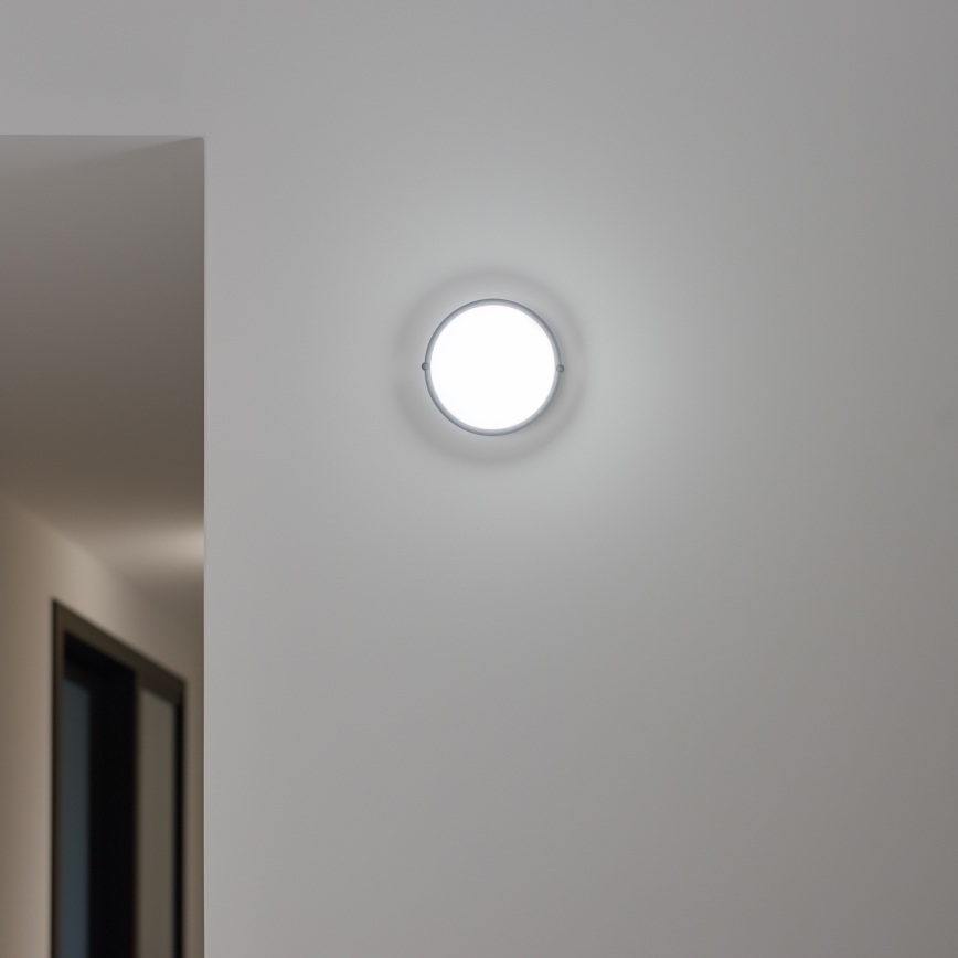 Brilagi - LED pramoninis lubinis šviestuvas SIMA LED/12W/230V IP65 juodas
