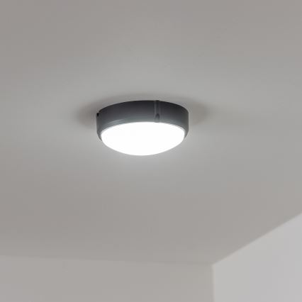 Brilagi - LED pramoninis lubinis šviestuvas SIMA LED/12W/230V IP65 juodas