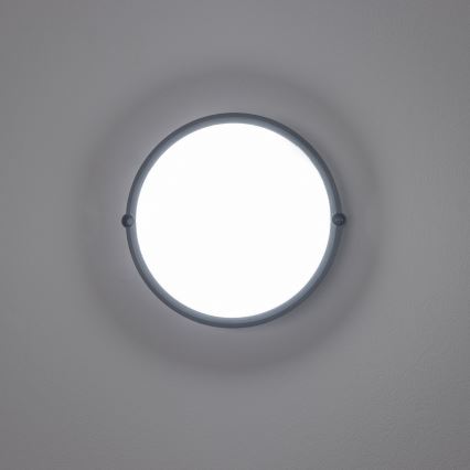 Brilagi - LED pramoninis lubinis šviestuvas SIMA LED/12W/230V IP65 juodas