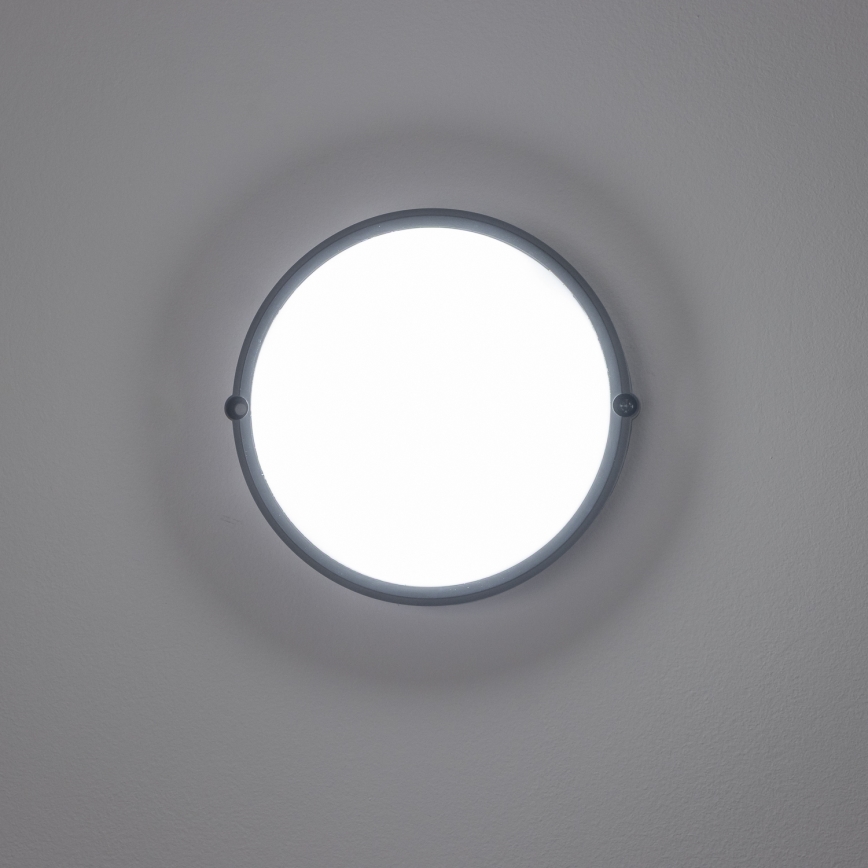 Brilagi - LED pramoninis lubinis šviestuvas SIMA LED/12W/230V IP65 juodas
