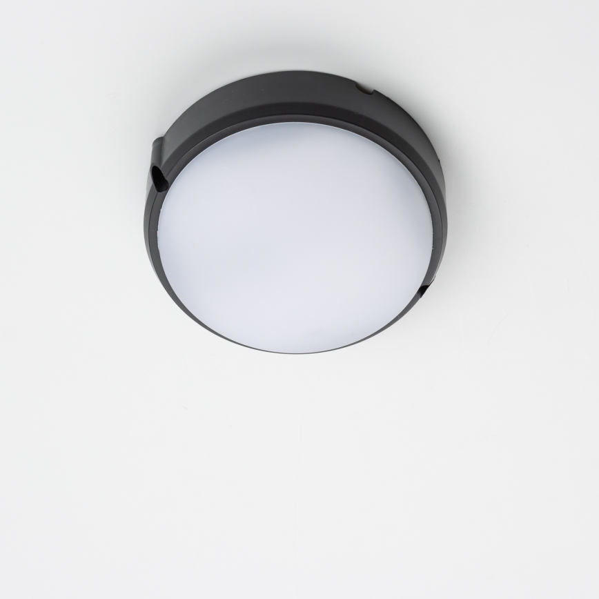 Brilagi - LED pramoninis lubinis šviestuvas SIMA LED/12W/230V IP65 juodas