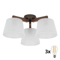 BRILAGI - LED Prie lubų montuojama liustra LATTE 3xE27/15W/230V pušis/balta