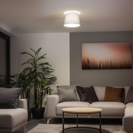 Brilagi - LED prie lubų montuojamas šviestuvas CERIA 1xE27/40W/230V, skersmuo 30 cm, pilkas