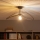 Brilagi - LED prigludęs lubinis šviestuvas CERIA WIRE 1xE27/60W/230V 40x56 cm juoda/bronzinė