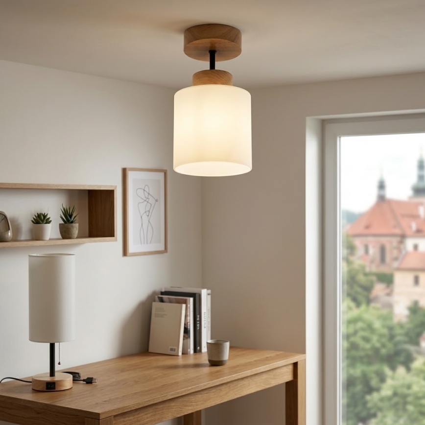 BRILAGI - LED prigludęs lubinis šviestuvas RETRO GLASS 1xE27/60W/230V Ø 10 cm ąžuolas/balta