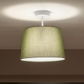 Brilagi - LED prigludęs lubų šviestuvas CERIA 1xE27/60W/230V skersmuo 30 cm balta/žalia