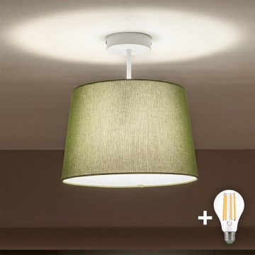Brilagi - LED prigludęs lubų šviestuvas CERIA 1xE27/60W/230V skersmuo 30 cm balta/žalia