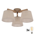 BRILAGI - LED Prigludusi liustra LATTE SABIA 3xE27/15W/230V pušis/smėlinė