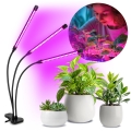 BRILAGI - LED Pritemdomas lankstus Stalinis šviestuvas su segtuku augalams auginti VITABLOOM 3xLED/10W/230V juoda