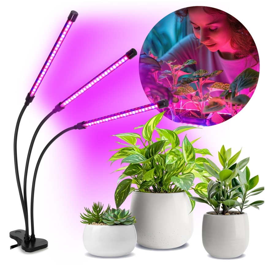 Brilagi - LED Pritemdomas lankstus Stalinis šviestuvas su segtuku augalams auginti VITABLOOM 3xLED/10W/230V juoda