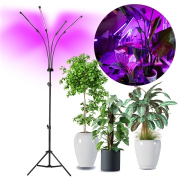 Brilagi - LED Pritemdomas lankstus Toršeras augalams auginti VITABLOOM 4xLED/7,5W/230V juoda