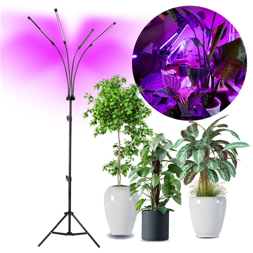 Brilagi - LED Pritemdomas lankstus Toršeras augalams auginti VITABLOOM 4xLED/7,5W/230V juoda