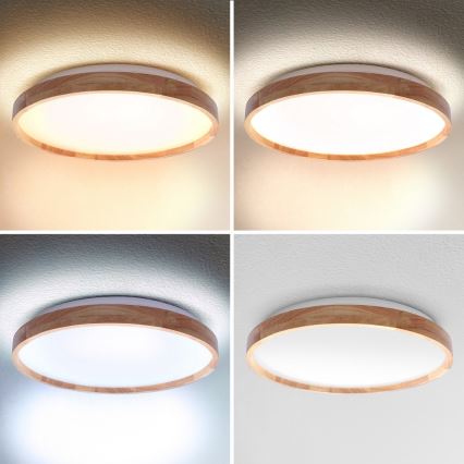 Brilagi - LED Pritemdomas lubinis šviestuvas ALSON LED/48W/230V 3000-6500K ąžuolas diametras 39,5 cm + nuotolinio valdymo pultas