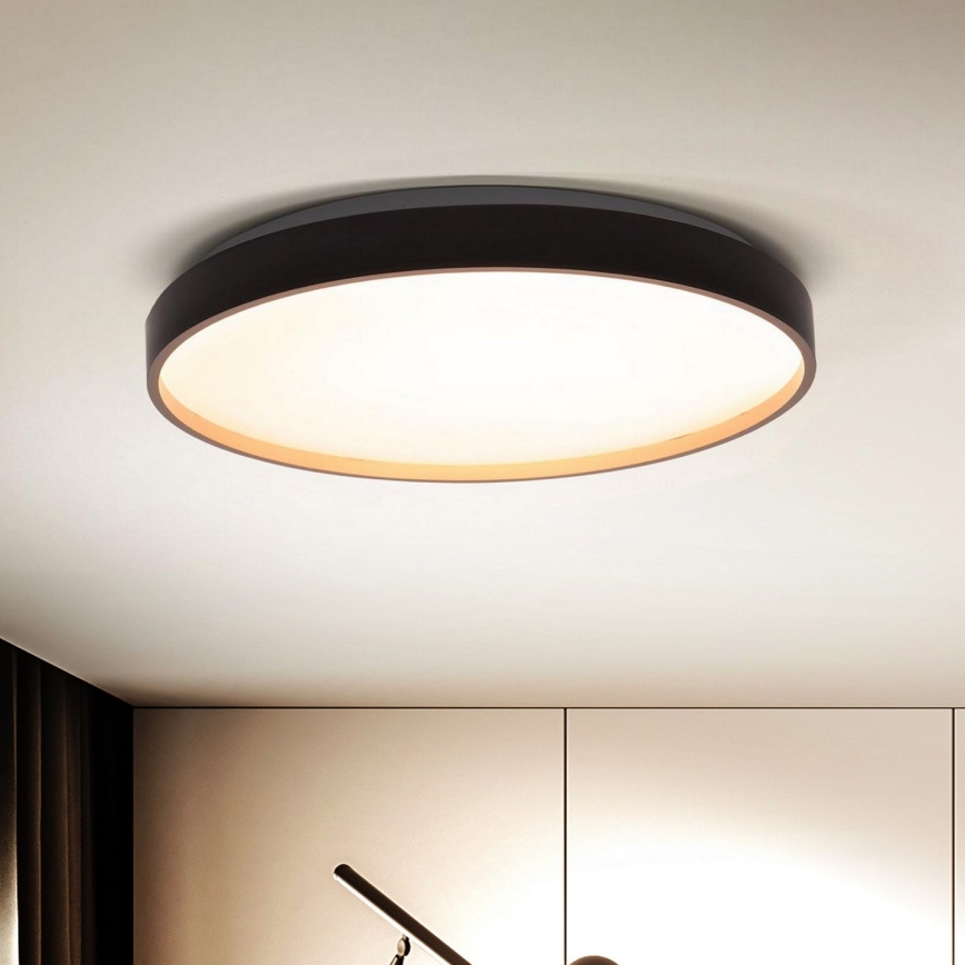 Brilagi - LED Pritemdomas lubinis šviestuvas CALA LED/48W/230V 3000-6500K diametras 38 cm + nuotolinio valdymo pultas