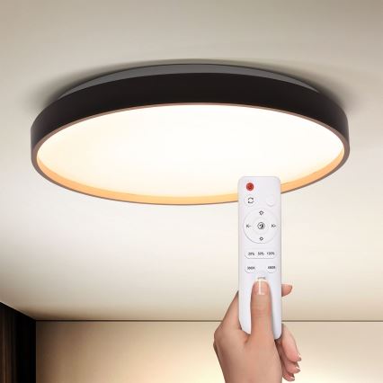 Brilagi - LED Pritemdomas lubinis šviestuvas CALA LED/48W/230V 3000-6500K diametras 38 cm + nuotolinio valdymo pultas