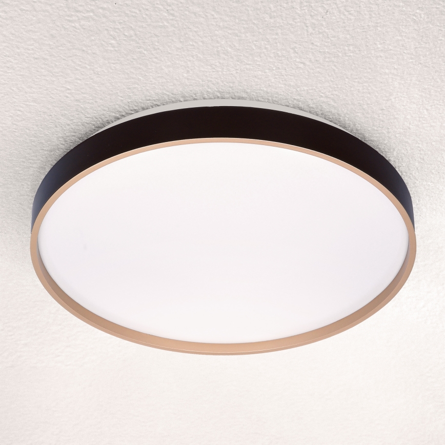 Brilagi - LED Pritemdomas lubinis šviestuvas CALA LED/48W/230V 3000-6500K diametras 38 cm + nuotolinio valdymo pultas