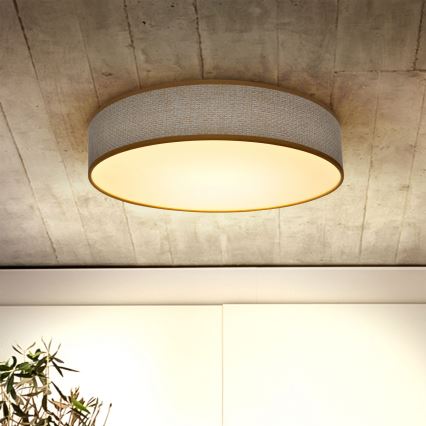 Brilagi - LED Pritemdomas lubinis šviestuvas CARMEN LED/48W/230V 3000-6500K diametras 40 cm + nuotolinio valdymo pultas