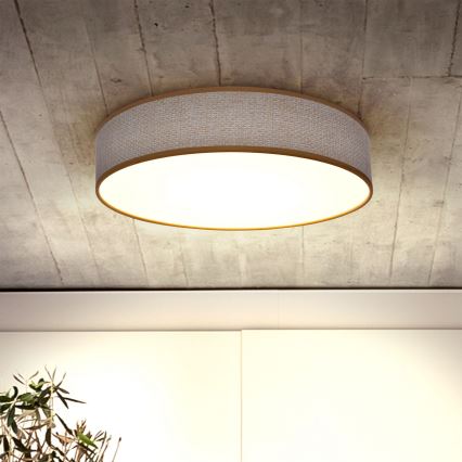 Brilagi - LED Pritemdomas lubinis šviestuvas CARMEN LED/48W/230V 3000-6500K diametras 40 cm + nuotolinio valdymo pultas