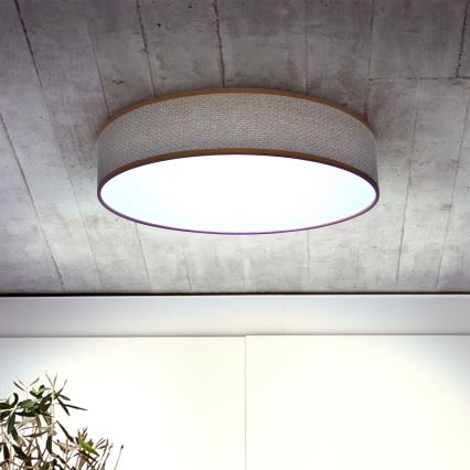 Brilagi - LED Pritemdomas lubinis šviestuvas CARMEN LED/48W/230V 3000-6500K diametras 40 cm + nuotolinio valdymo pultas